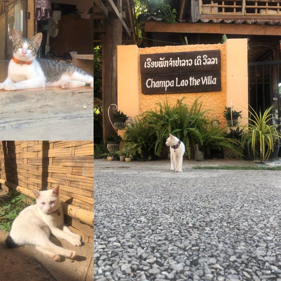 Champalao The Villa Vang Vieng Buitenkant foto