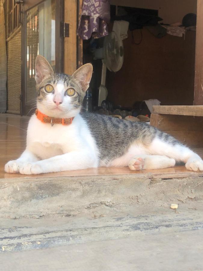 Champalao The Villa Vang Vieng Buitenkant foto